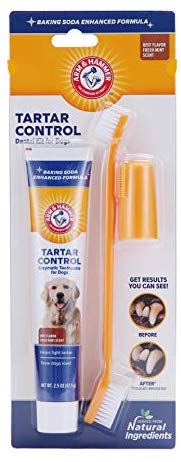 Arm & Hammer Paste & Brush Set